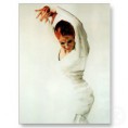 /album/fotogalerie-tanecnici/flamenco-dancer-postcard-p239147182471405244baanr-400-jpg/